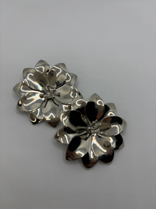 Pendientes Lindoso